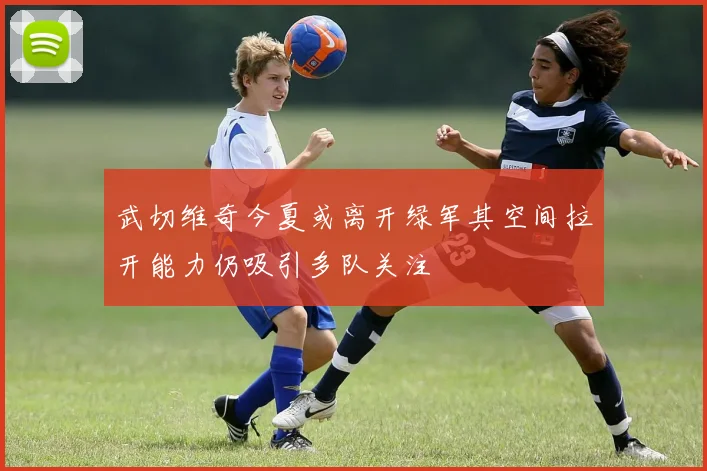 武切维奇今夏或离开绿军其空间拉开能力仍吸引多队关注