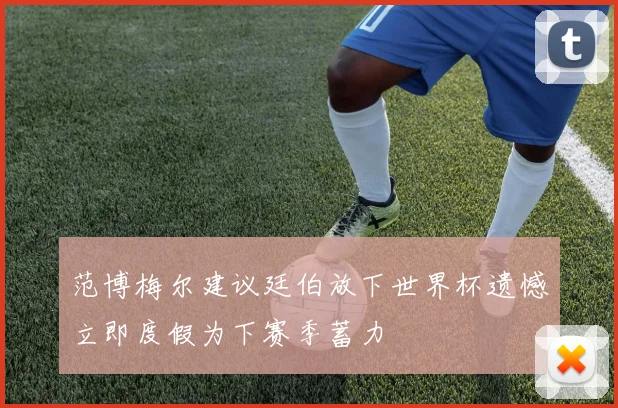 范博梅尔建议廷伯放下世界杯遗憾立即度假为下赛季蓄力